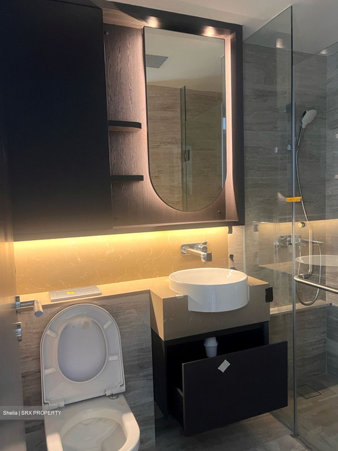 Neu At Novena (D11), Apartment #446252511